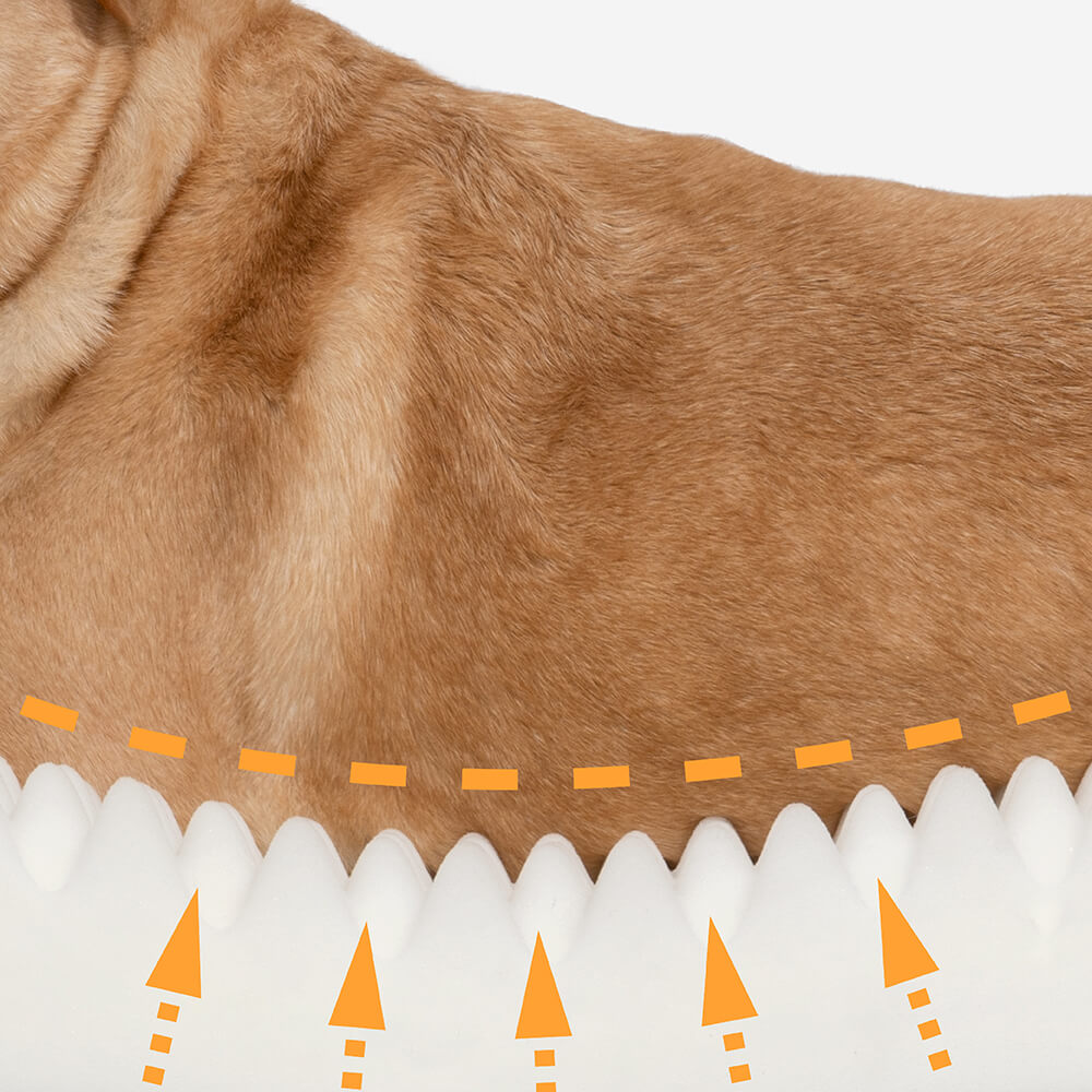 Full support faux fleece and suede orthopedic dog bed