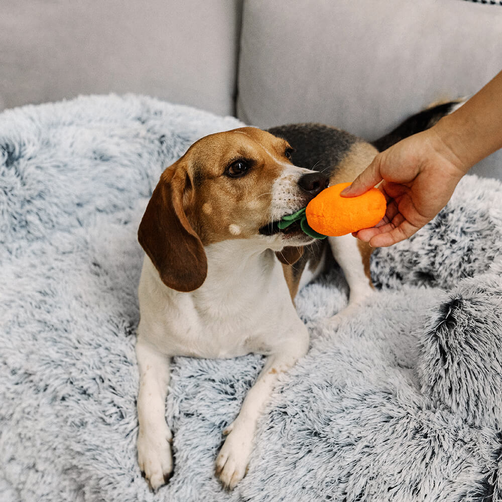 Calming Furniture Protector Dog Bed - Cozy Backrest