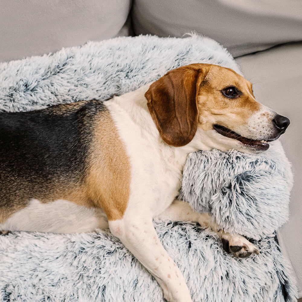 Calming Furniture Protector Dog Bed - Cozy Backrest