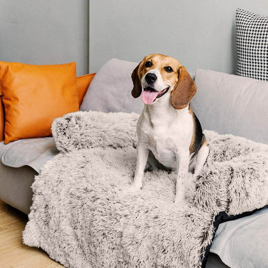 Calming Furniture Protector Dog Bed - Cozy Backrest