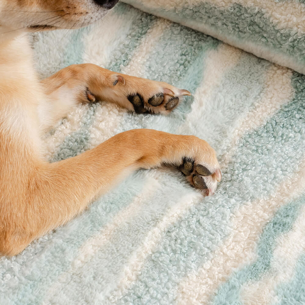 Cozy orthopedic dog sofa made of lambswool