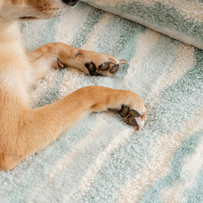 Cozy orthopedic dog sofa made of lambswool