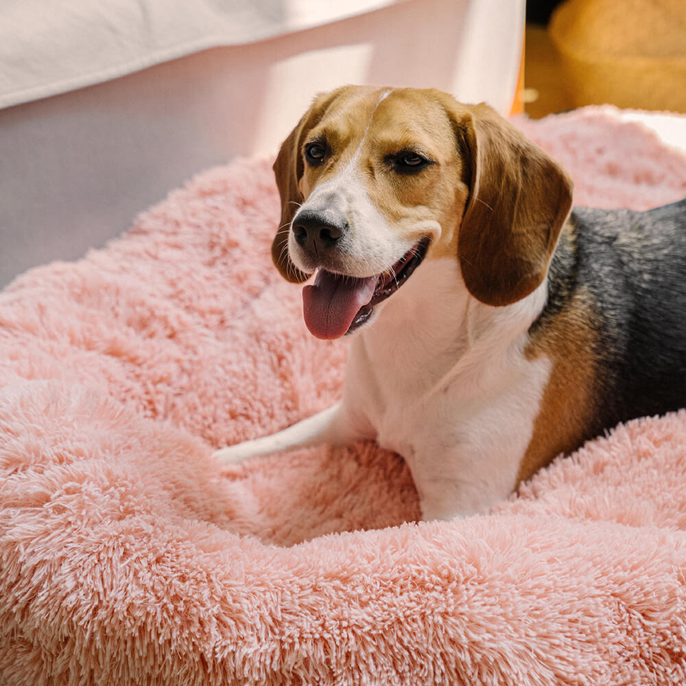 Cozy dog bed cloud 7 | the original