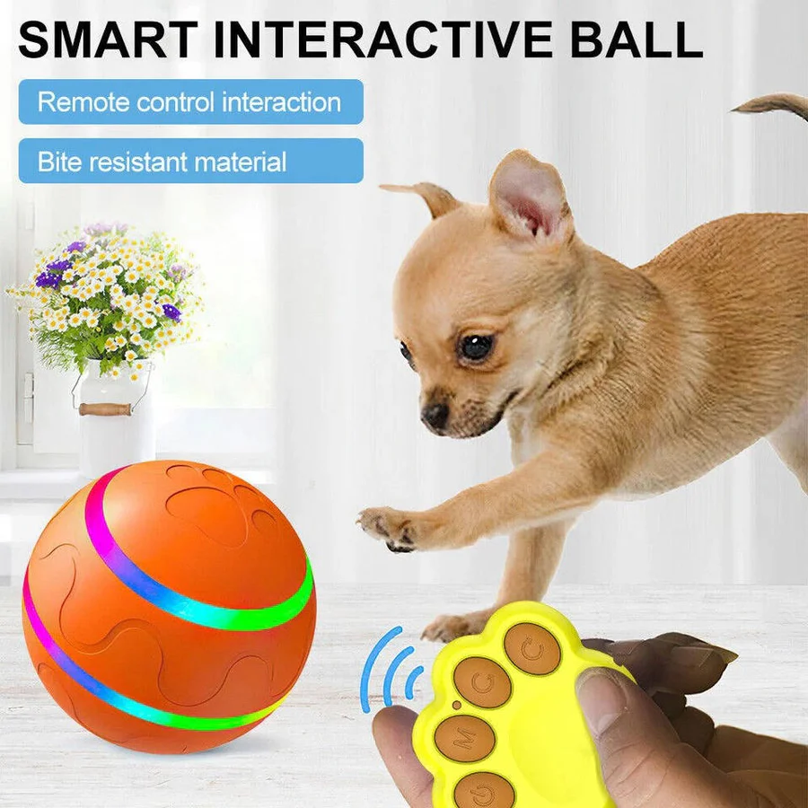 Interactive Dog and Cat Ball Toy | Ventayan