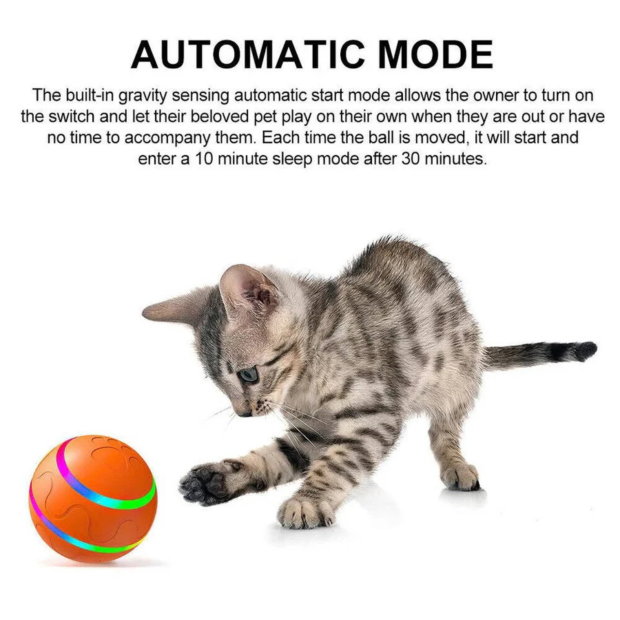 Interactive Dog and Cat Ball Toy | Ventayan