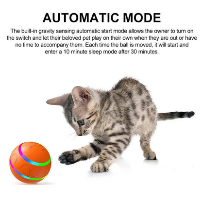 Interactive Dog and Cat Ball Toy | Ventayan