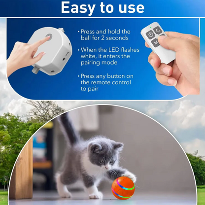 Interactive Dog and Cat Ball Toy | Ventayan