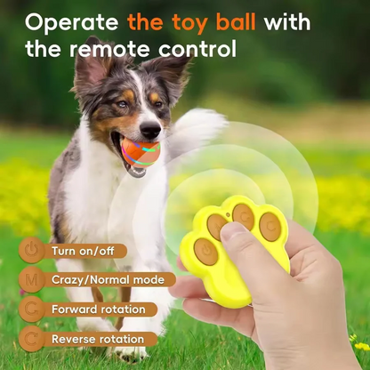 Interactive Dog and Cat Ball Toy | Ventayan
