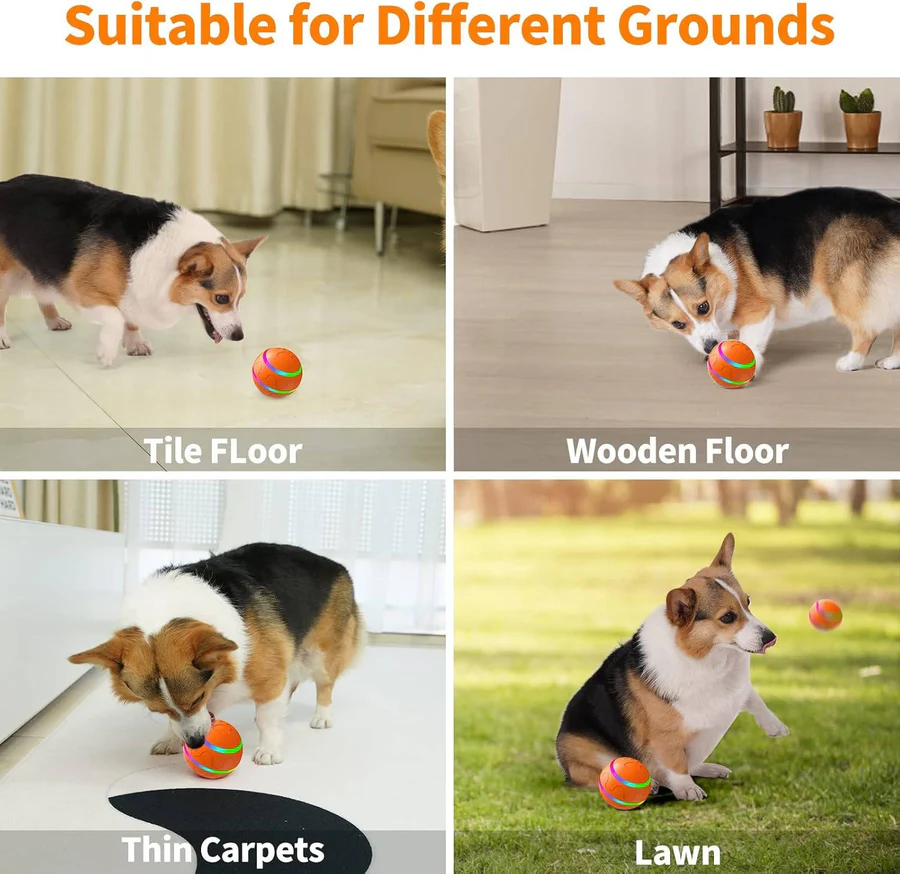 Interactive Dog and Cat Ball Toy | Ventayan