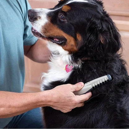 Anti Tangle Pet Grooming Rake For Dogs With Long Hair | Ventayan