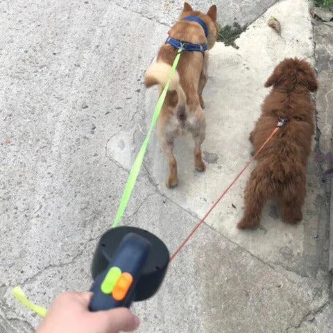 Dual Dog Leash with LED Light – 360° Tangle-Free Swivel & Shock Absorbing Bungee